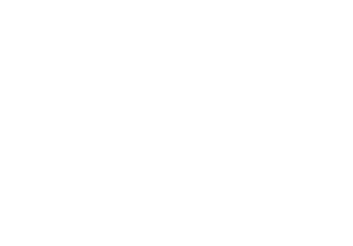 The Ritz-Carlton